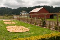 May 2012 - Rose beds laid out