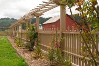 May 2011 - Beginning to plant the rose border