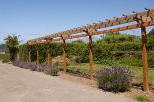 Old arbor top moved to veggie garden