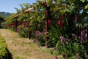 June 2018 - Rebuild completed