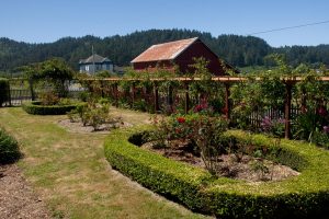 June 2018 - Rebuild completed