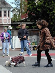 Ferndale Pet Parade