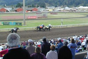 Horse Racing in Ferndale