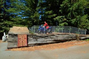 Blake on his Sprint ST