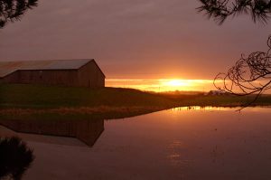 Loleta Sunrise