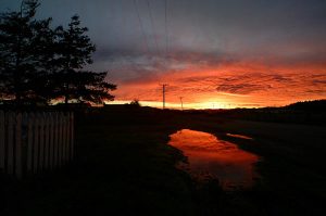 Grizzly Bluff Sunrise