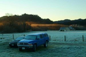 Frosty morning