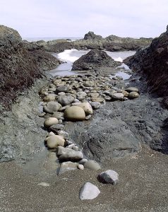 Prehistoric Bowling Balls