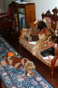 Ricky sleeping with Moose