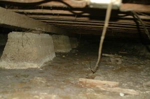 Underneath 389 Main St.