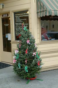 Studio Christmas Tree