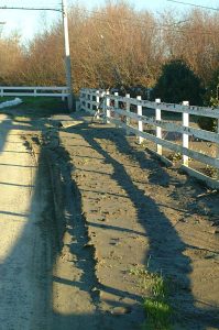 Front Yard after flood