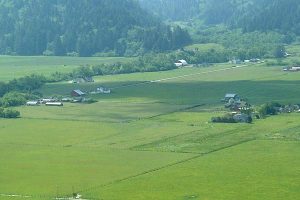 Ferndale from the air