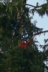 Putting the lights up