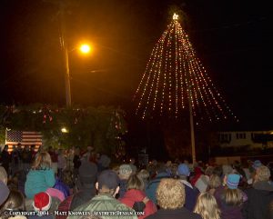 Ferndale Christmas Tree