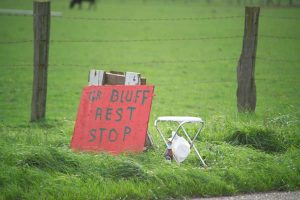 Grizzly Bluff Rest Stop