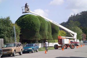 Trimming the gumdrops