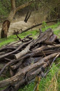 Creek Debris
