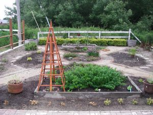 Herb Garden