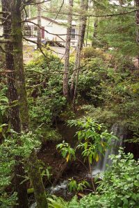 Uncle Dave's property