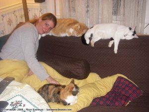 Lori and the kitties