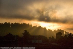God's Rays